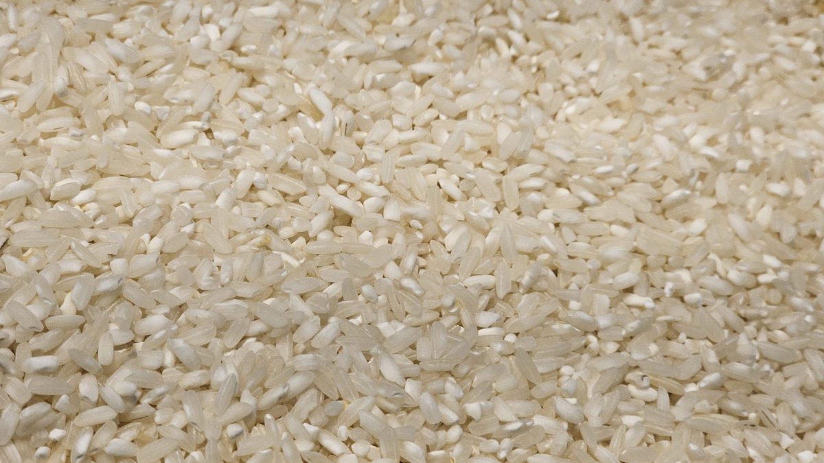 Polished white rice grains — the milled food whose loss of thiamine caused epidemic beriberi, in a Panacea Bio Chem thiamine record by Bogdan Dicoias